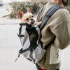 Pet Dog Carrier Bag Carrier For Dogs Backpack Travel