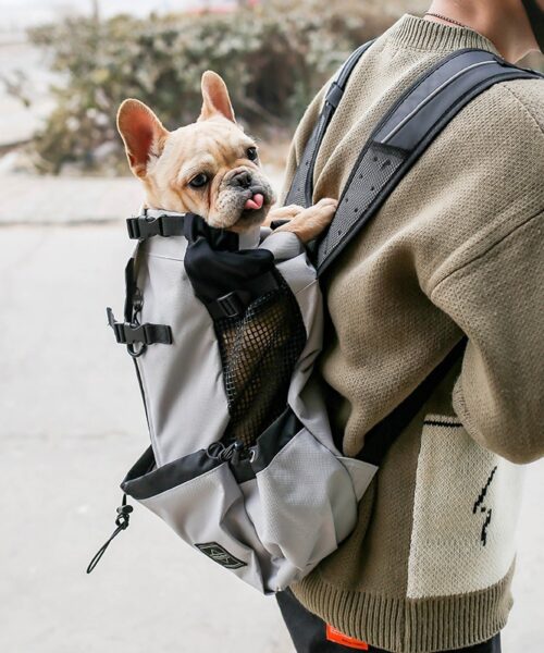 Pet Dog Carrier Bag Carrier For Dogs Backpack Travel