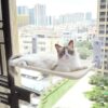 Cat Suction Cup Window Glass Hammock Pet Cat