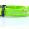 Nylon LED Pet Dog Luminous Collar Night Safety Flashing