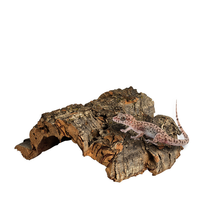 Reptile Terrarium Landscaping Decoration Ornaments