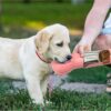 Pet Water Bottle Feeder Bowl Garbage Outdoor Travel 3 In 1 Dog Water Bottle