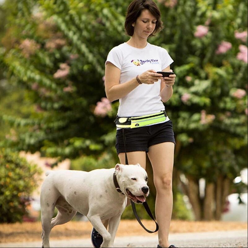 Hands Free Dog Leash Pet Walking And Training Belt With Shock Absorbing