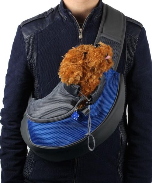 Pet Backpack