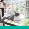 Cat Suction Cup Window Glass Hammock Pet Cat