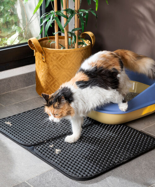 Cat Litter Tray Mat Clikatt InnovaGoods