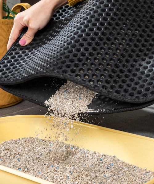 Cat Litter Tray Mat Clikatt InnovaGoods