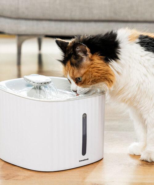 Pet Water Fountain Drinkatt InnovaGoods