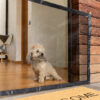 Safety Net for Pets Petinu InnovaGoods