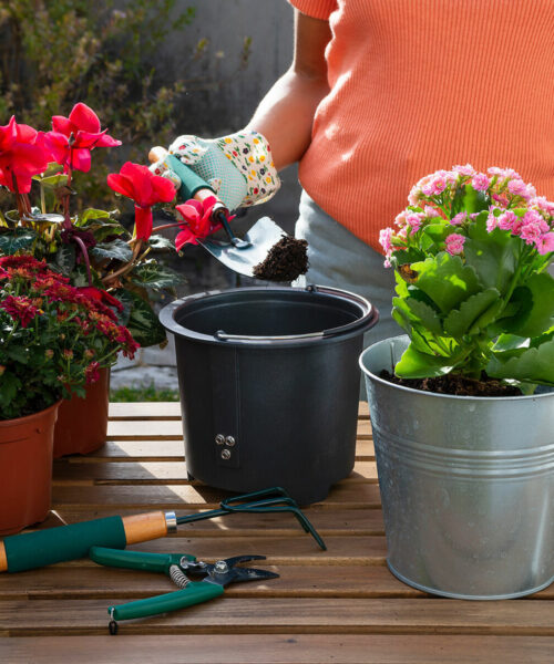 Electric Kitchen Composter Ewooster InnovaGoods