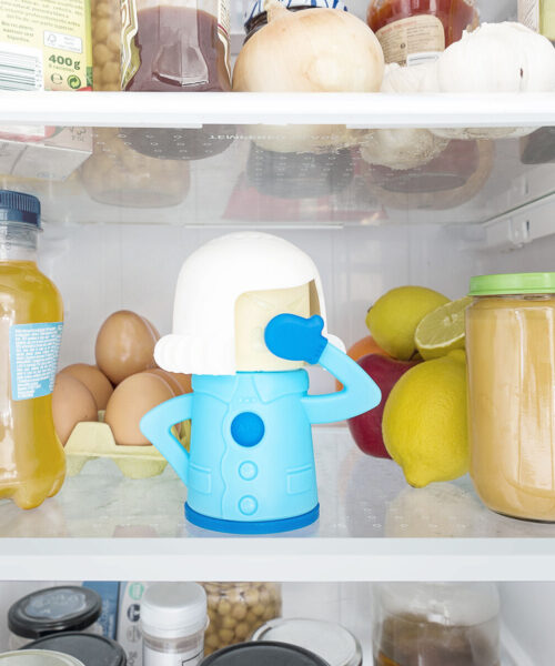 Fridge deodorizer Fummom InnovaGoods