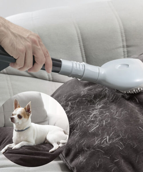 Vacuum Cleaner Brush Smoovah InnovaGoods