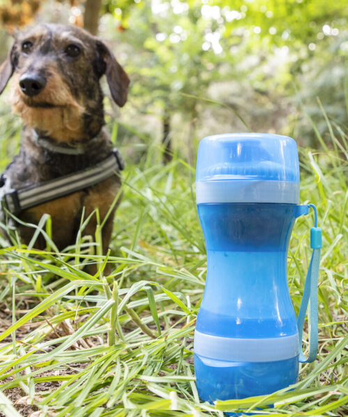 2-in-1 bottle with water and food containers for pets Pettap InnovaGoods