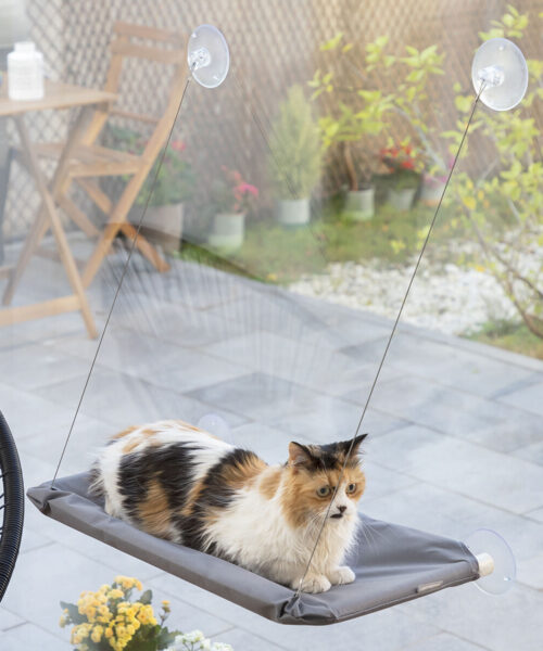 Hanging Cat Hammock Catlax InnovaGoods