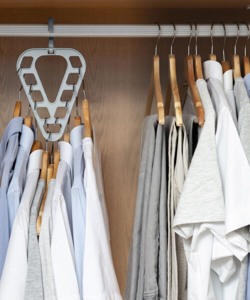Hanger Organizers Set Orzer InnovaGoods 2 Units