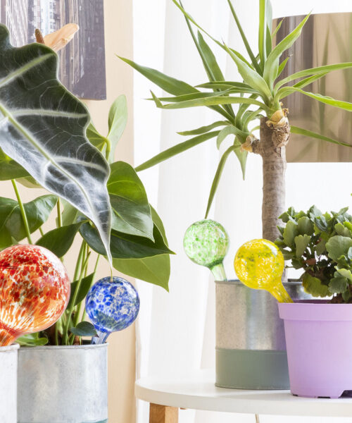 Automatic Watering Globes Ballwooters InnovaGoods 4 Units